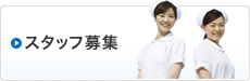 スタッフ募集